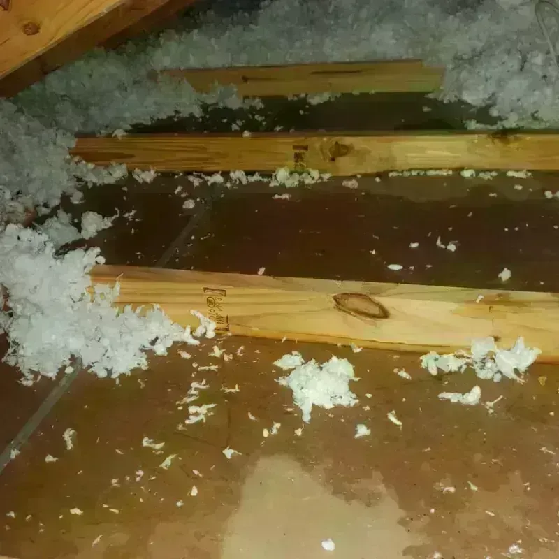 Attic Water Damage in Okeene, OK