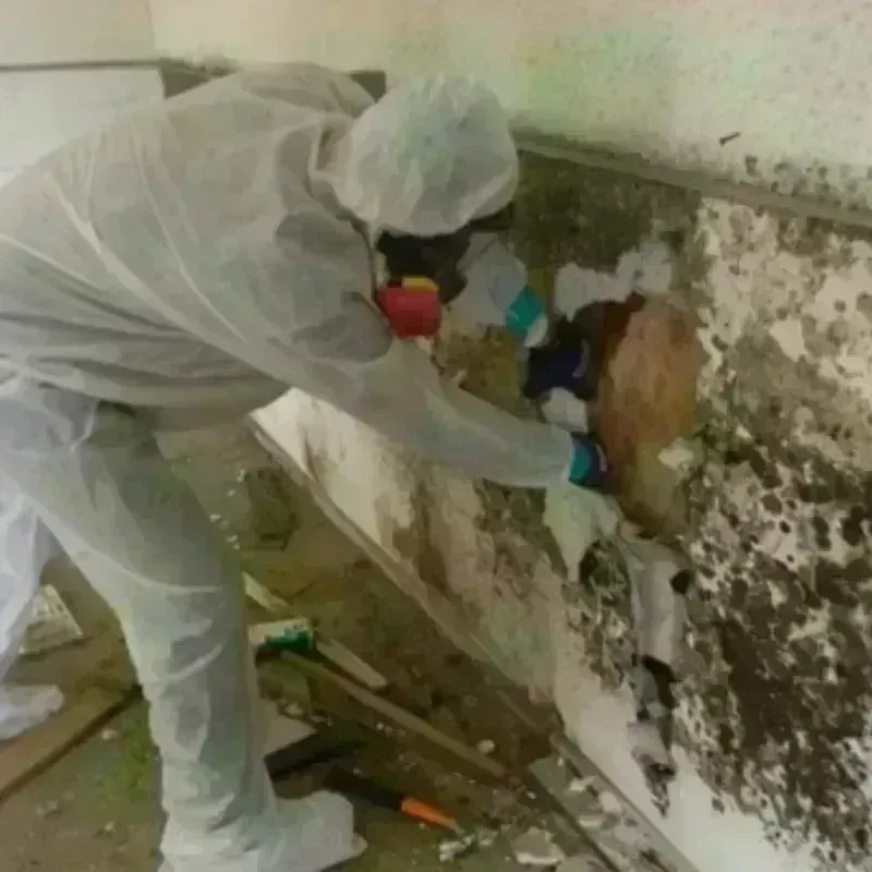 Mold Remediation and Removal in Okeene, OK