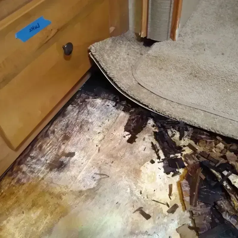 Wood Floor Water Damage in Okeene, OK